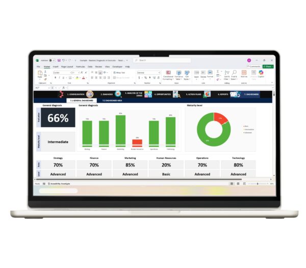 Excel-based business analysis report