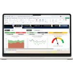 Net Worth and Liquidity Analysis Excel | Net Worth Calculator Excel
