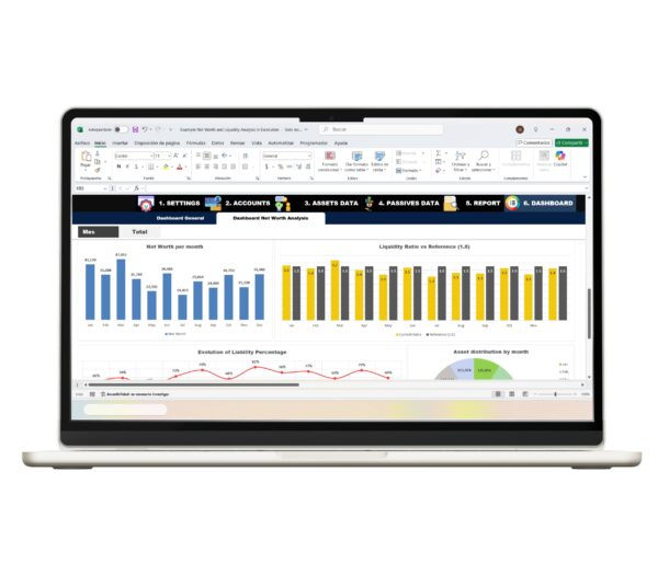 Net worth and liquidity Excel chart analysis