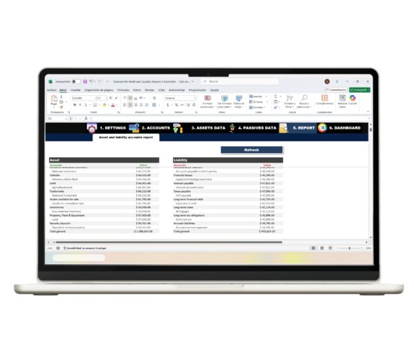 Excel report of net worth and liquidity metrics