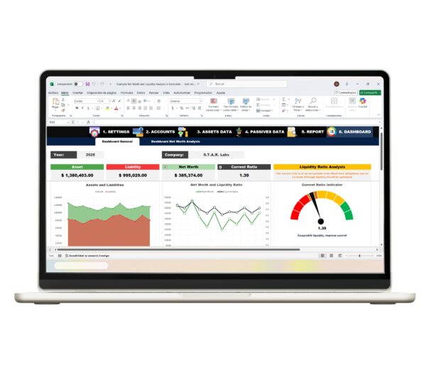 Net worth and liquidity ratios Excel dashboard